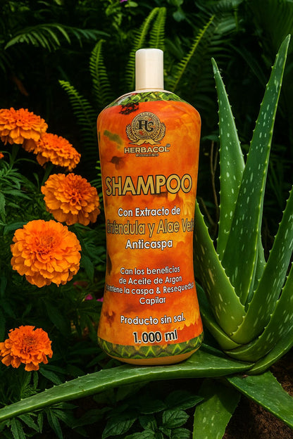 SHAMPOO DE CALÉNDULA Y ALOE VERA